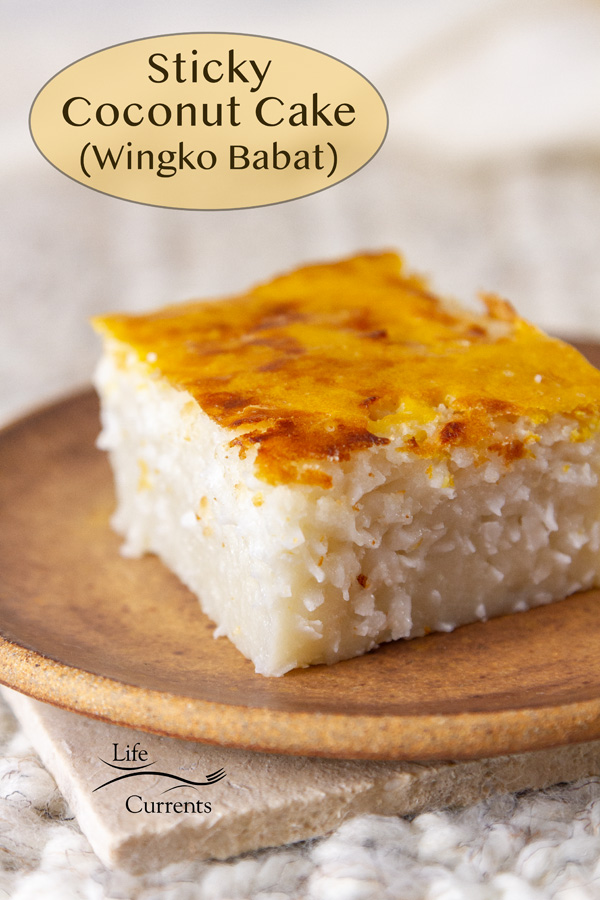 Wingko Babat Recipe (Javanese Coconut Sticky Rice Cake) » Indonesia Eats